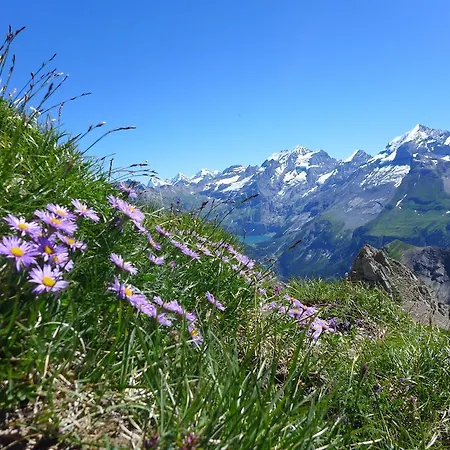 Hébergement de vacances Hami *
