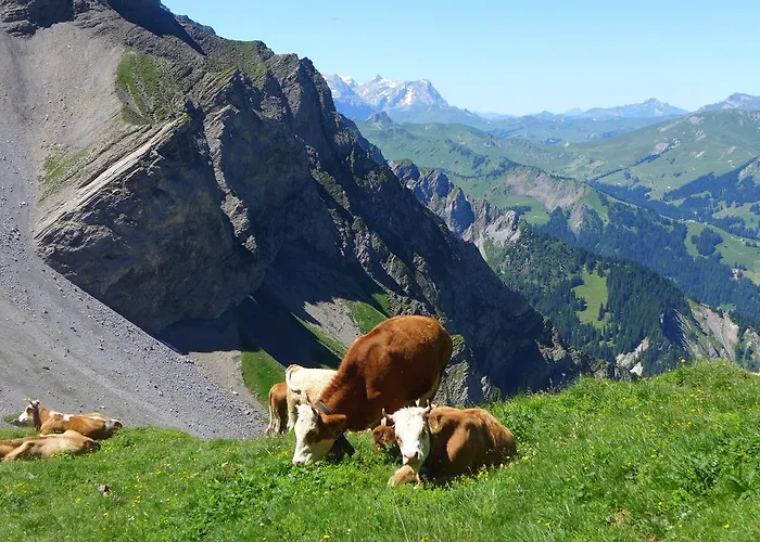 Hami Hébergement de vacances