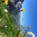 Hami Hébergement de vacances