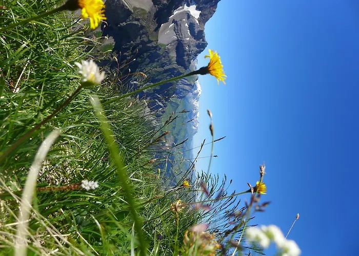 Hami Hébergement de vacances