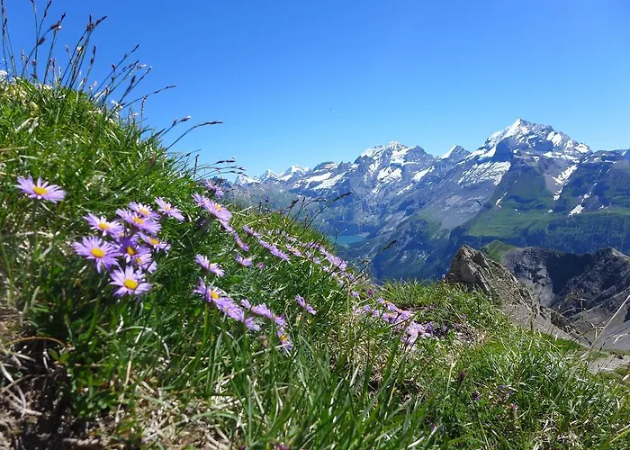 Hébergement de vacances Hami *